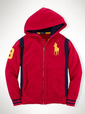 Cheap Ralph Lauren men's Hoodies wholesale No. 407